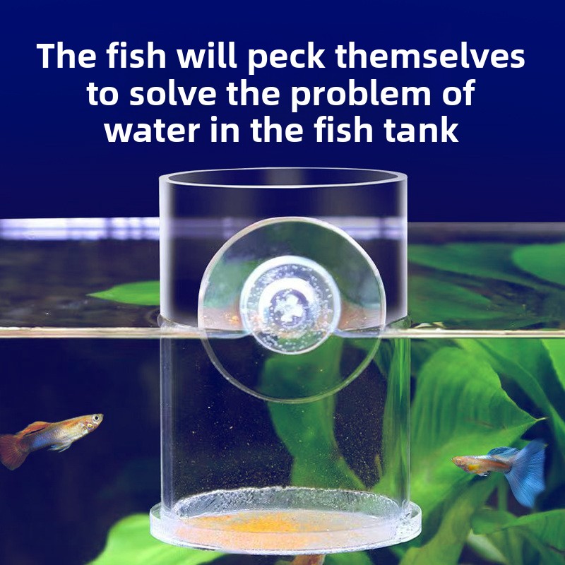 AC-Fish Acrylic Fish Feeding R - Baby Food Net Feeder review and price