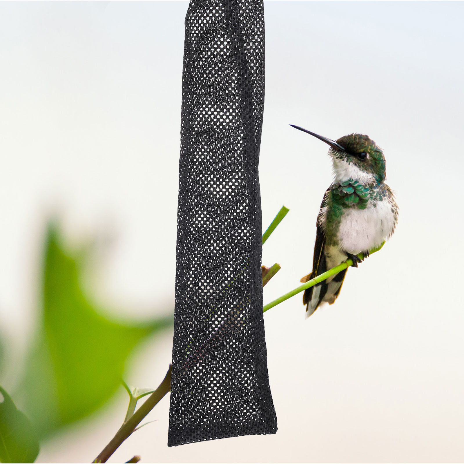 3Pcs Birds Feeding Mesh Bags N - Mesh Feeder Bag review and price