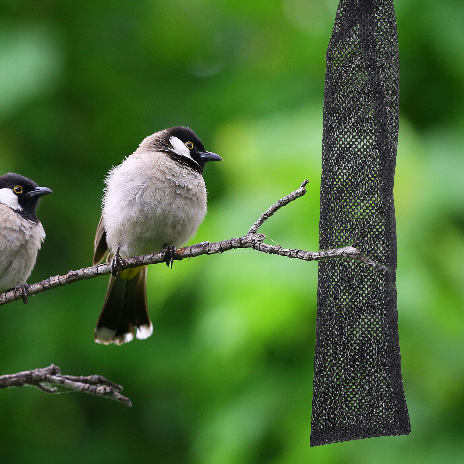 3Pcs Birds Feeding Mesh Bags N - Mesh Feeder Bag review and price